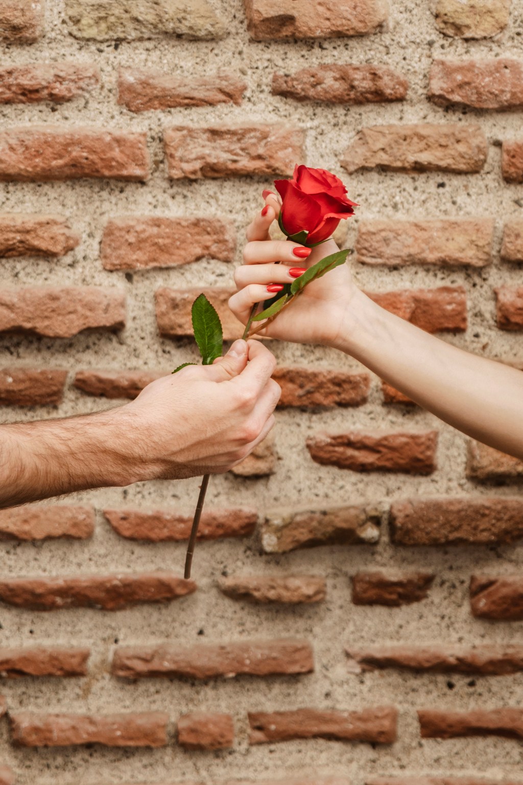 L’Amore è un’Illusione? La Verità Psicologica dietro San&nbsp;Valentino